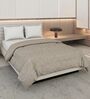 Brown 50% COTTON, 50% POLYESTER Solid 90 GSM King Bed Comforter