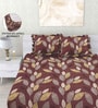Brown Abstract 260 Tc Polycotton Double Fitted Bedsheet With 2 Pillow Covers