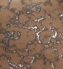 Brown Polyester Textured 16x16 inches Cushion Cover (5Pc)