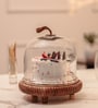 Brown Acacia Wood  Cloche With Wooden Base