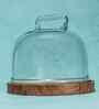 Brown Acacia Wood  Cloche With Wooden Base