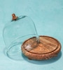 Brown Acacia Wood  Cloche With Wooden Base