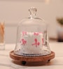 Glass Cloche with Brown Acacia Wood Base