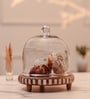 Brown Acacia Wood  Cloche With Wooden Base