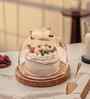 Brown Acacia Wood  Cloche With Wooden Base