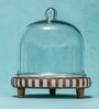Brown Acacia Wood  Cloche With Wooden Base