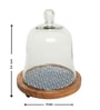 Glass Cloche with Brown Acacia Wood Base