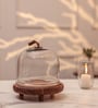 Brown Acacia Wood  Cloche With Wooden Base