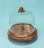 Brown Acacia Wood  Cloche With Wooden Base