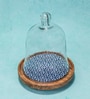 Glass Cloche with Brown Acacia Wood Base