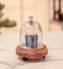 Brown Acacia Wood  Cloche With Wooden Base