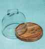 Brown Acacia Wood  Cloche With Wooden Base