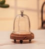 Brown Acacia Wood  Cloche With Wooden Base