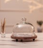 Brown Acacia Wood  Cloche With Wooden printed Base