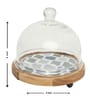 Brown Acacia Wood  Cloche With Wooden printed Base