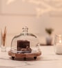 Brown Acacia Wood  Cloche With Wooden printed Base