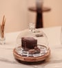 Brown Acacia Wood  Cloche With Wooden printed Base