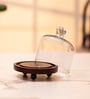 Brown Acacia Wood Cloche with Wooden Base