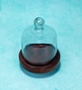 Brown Acacia Wood Cloche With Wooden Base