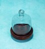 Brown Acacia Wood Cloche with Wooden Base