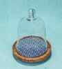 Glass Cloche with Brown Acacia Wood Base