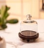 Brown Acacia Wood Cloche With Wooden Base