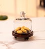 Brown Acacia Wood Cloche with Wooden Base