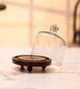 Brown Acacia Wood Cloche With Wooden Base