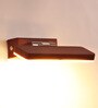Damsel Acrylic LED Picture Light (Brown)