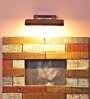 Damsel Acrylic LED Picture Light (Brown)
