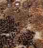Brown and Beige Persian 4x6 Feet Machine Made Carpet