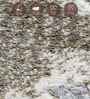 Brown and Cream Abstract 3x5 Feet Machine Made Carpet