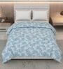 Brown and White 100% COTTON Solid 150 GSM King Bed Comforter