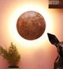 Calathus Metal LED Wall Flush Mount Light (Brown)