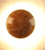 Calathus Metal LED Wall Flush Mount Light (Brown)