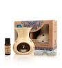Brown Aroma oil & Reed Sticks