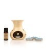 Brown Aroma oil & Reed Sticks