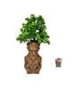 Artificial Plants with Brown Tribal Pot