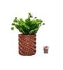 Green Artificial Plants with Brown Pot