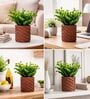 Green Artificial Plants with Brown Pot