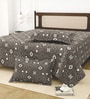 Brown Bedsheet 220 Tc Cotton King Bedsheet With 2 Pillow Covers