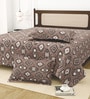 Brown Bedsheet 220 Tc Cotton King Bedsheet With 2 Pillow Covers