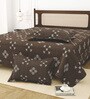 Brown Bedsheet 220 Tc Cotton King Bedsheet With 2 Pillow Covers