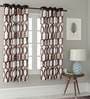 Brown Geometric Polyester 5 Ft Semisheer Eyelet Window Curtains (Set of 2)