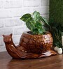 Brown Ceramic Snail Shaped Planter