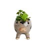 Brown Ceramic Succ-oink-ulants in Bloom Faux Desk Pot Planter