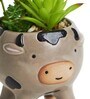 Brown Ceramic Succ-oink-ulants in Bloom Faux Desk Pot Planter