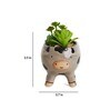 Brown Ceramic Succ-oink-ulants in Bloom Faux Desk Pot Planter