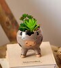 Brown Ceramic Succ-oink-ulants in Bloom Faux Desk Pot Planter