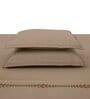 Brown Embroidered 210 TC Cotton King Sized Bedsheet with 2 Pillow Covers